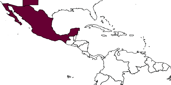 map of Triepeolus partitus     Rightmyer, 2008